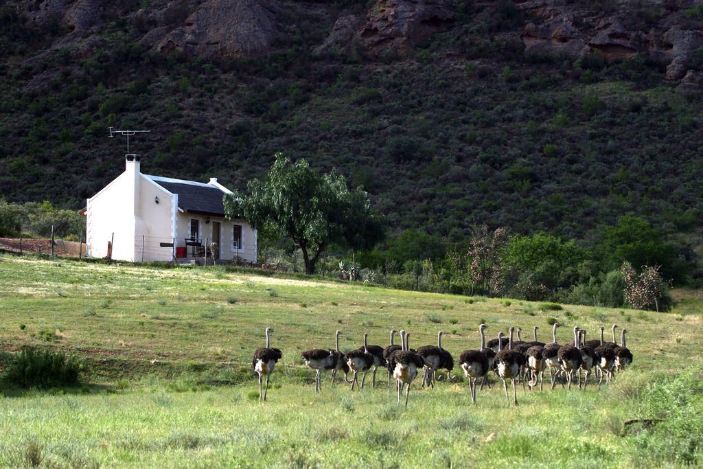 فيلا Red Stone Hills Buffelskloof المظهر الخارجي الصورة